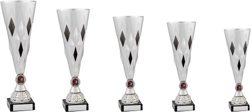 Great Value Achievement Award 2119 Series Great Value Achievement Award 2119 Series