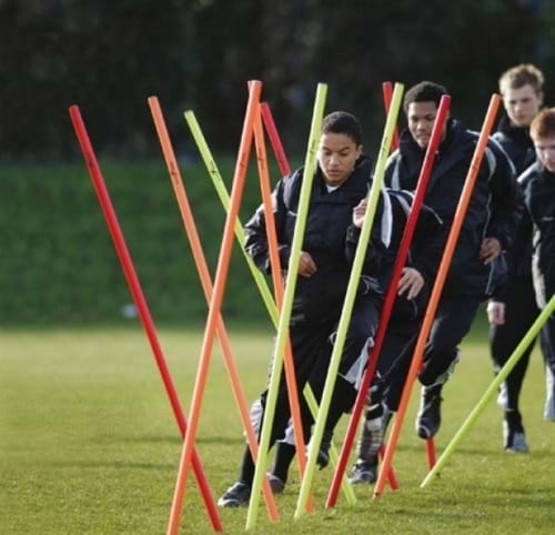 1.7mm Boundary Poles in bag 1.7mm Boundary Poles in bag