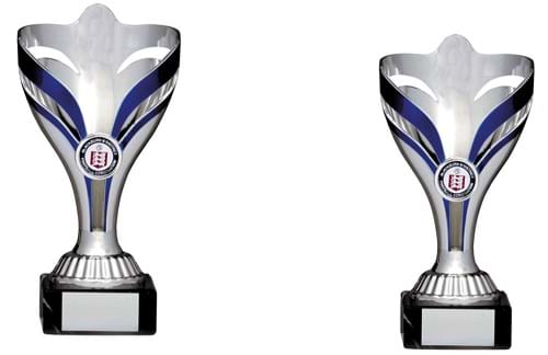 Elegant Silver Colour Themed Tournament Trophies