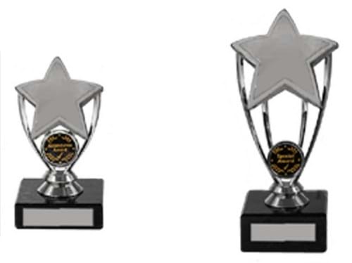 Silver Prestigious Achievement Star Awards