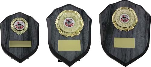 Wood Plaque Trophy Award any Sport 1602 Series