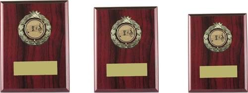 Wood Plaque Trophy  any Sport 1607 Series