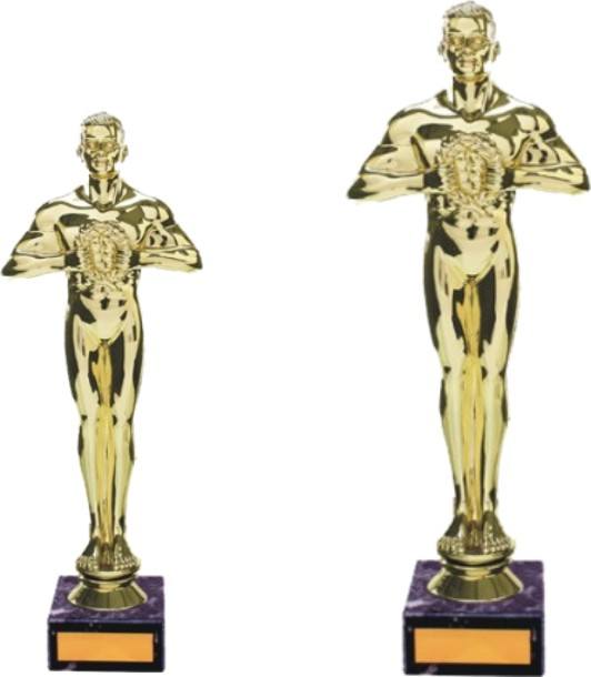 FREE Engraving Challenger Gold Silver & Bronze Star Trophy Achievement Award 