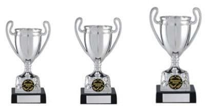 Attendance Cup Trophies