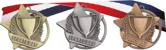 Baseball Medal School Team Sport Award Trophy W/ FREE Lanyard