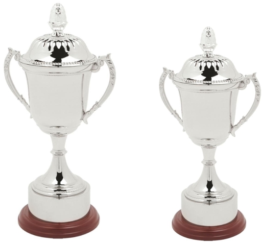 Nickel Plated Metal Cup Trophy Award – FREE ENGRAVING – 6 Sizes Available – Awardsmith