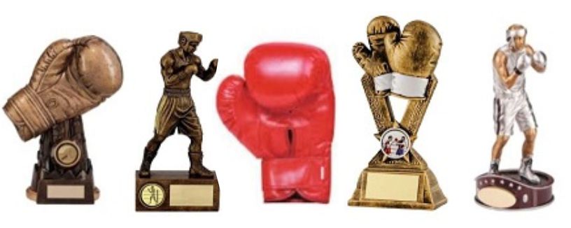 Boxing Medal in Box & Free Engraving 2 Male Boxers Boxing Trophy Award 