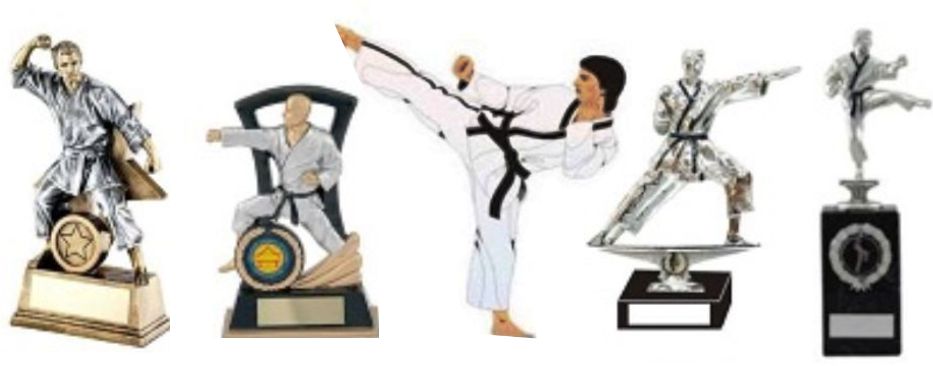 Martial Arts Trophy with 20 Medals & Ribbons Karate MMA Jiu-jitsu Trophy Award 