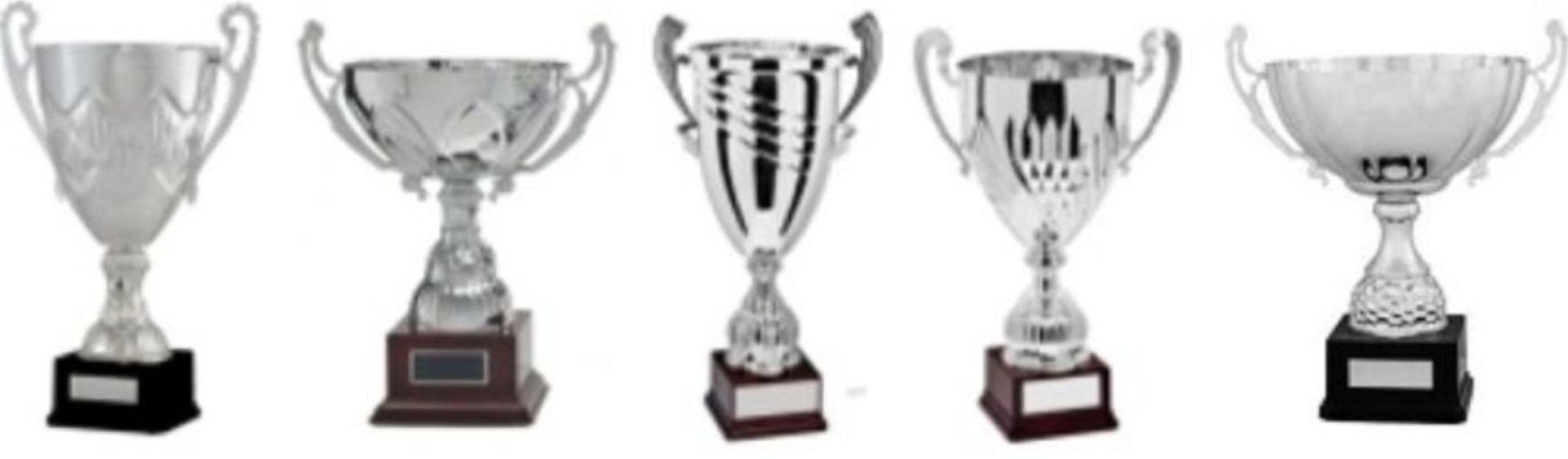 'Turin' Silver Cup Trophy Value Bargain Award *Free Personalised Label* 4 SIZES 