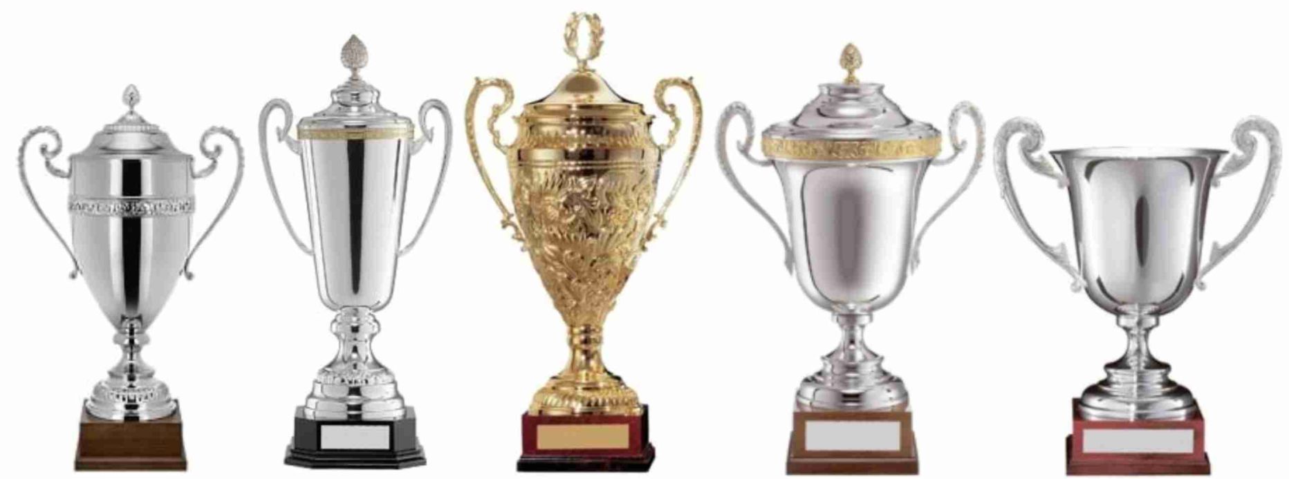 'Turin' Silver Cup Trophy Value Bargain Award *Free Personalised Label* 4 SIZES 